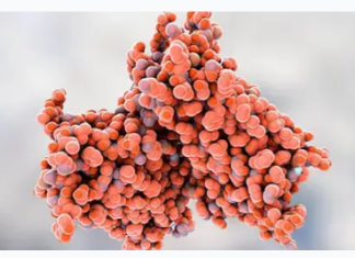 Anthocyanins: Origins, Composition, Analytical Techniques, and Utilizations